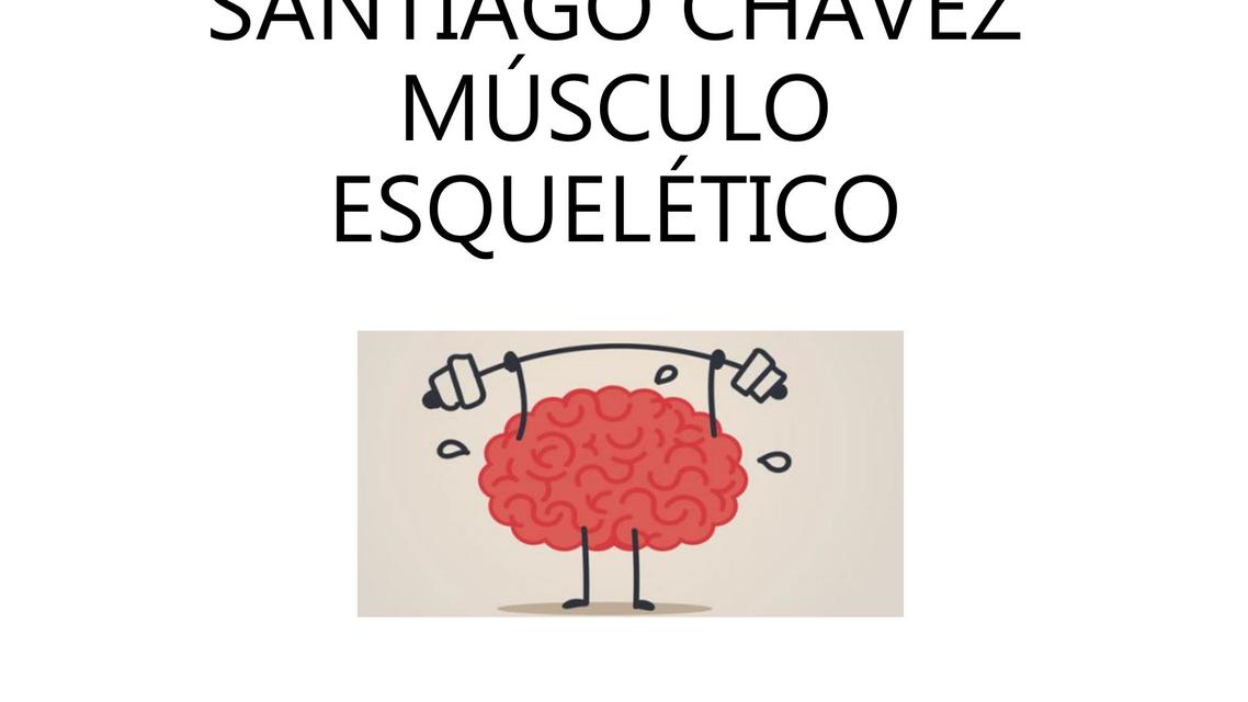 MUSCULO ESQUELÉTICO FISIOLOGÍA ESQUEMAS