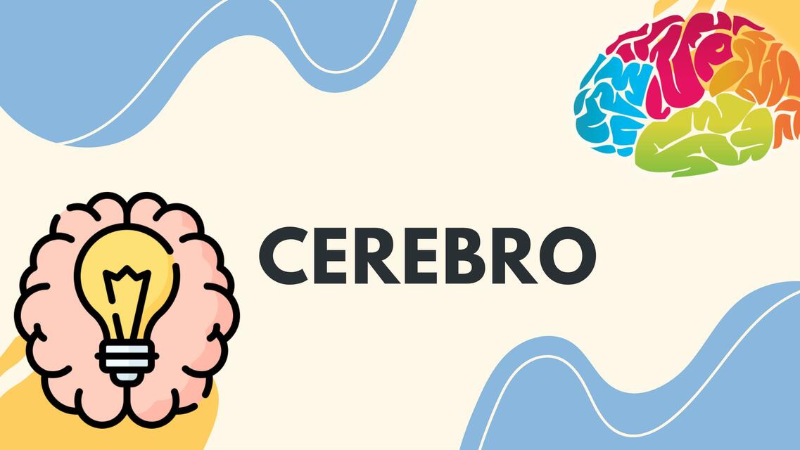 Cerebro