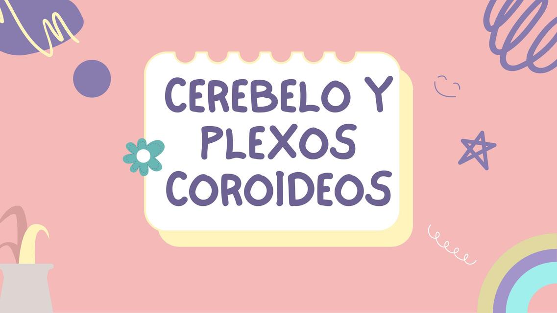 Cerebelo y Plexos Coroideos