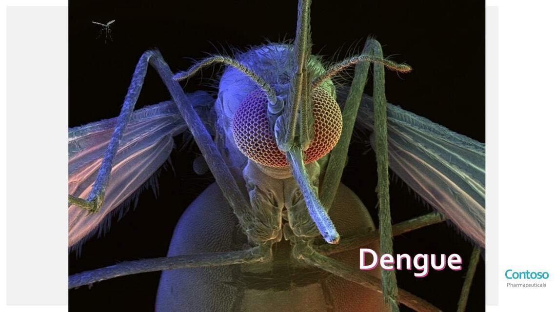 Dengue