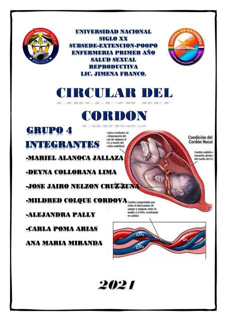 Circular del Cordón 