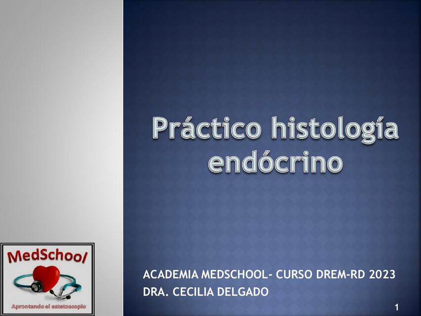 Práctico Histología Endocrino y Renal