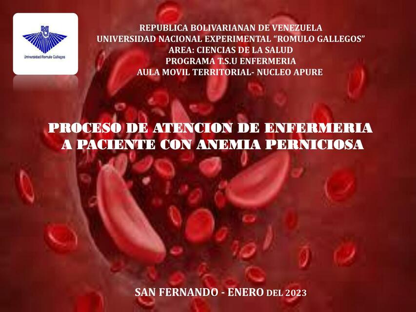 Caso Clínico Anemia Perniciosa 