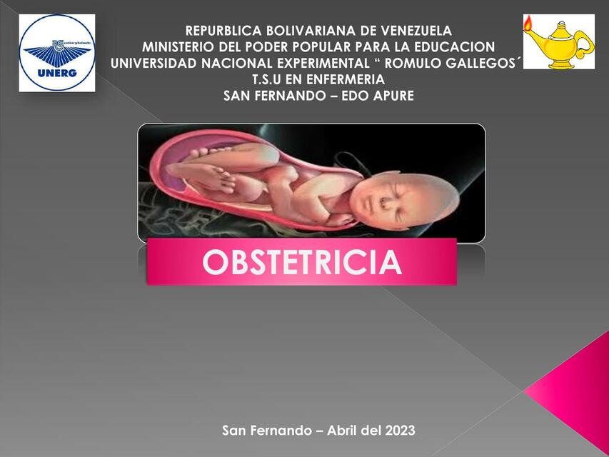 Placenta y Funciones 