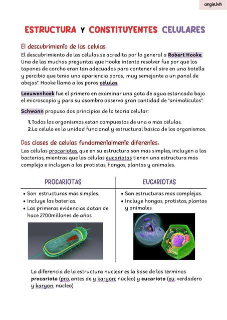 Estructura y constituyentes celulares  