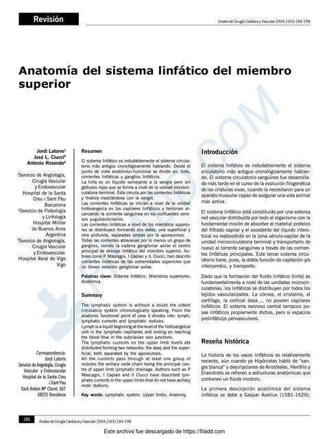 Anatomía del sistema linfático de miembro superior  