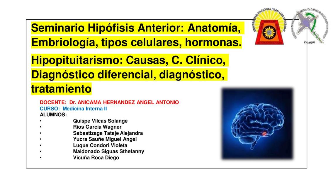 Seminario hipófisis anterior 