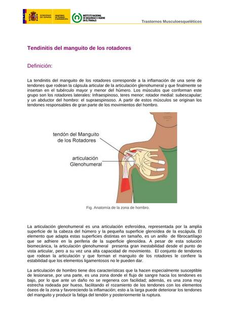 Tendinitis del Manguito de los Rotadores