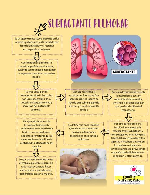 Surfactante pulmonar | ANGGY FERREIRA MANTILLA | uDocz