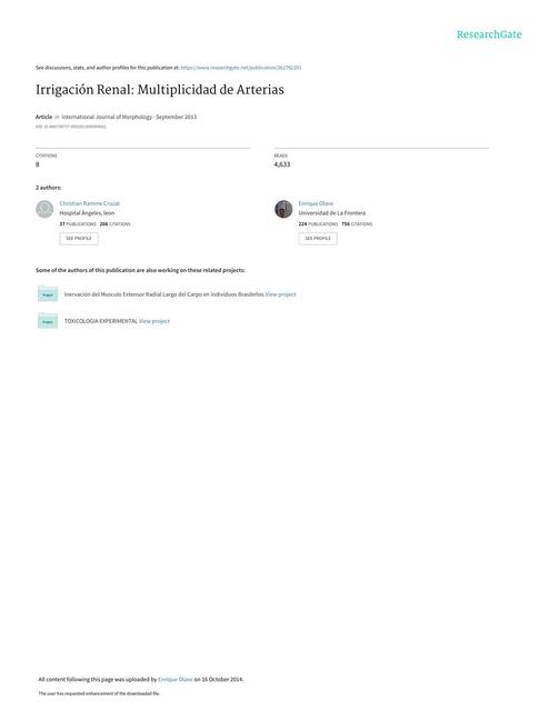 Irrigación Renal. Multiplicidad de Arterias