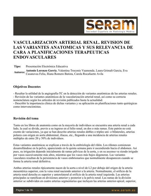 Vascularización Arterial Renal. Revisión de las Variantes Anatómicas