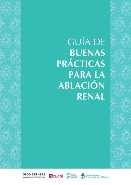 Guía de Buenas Prácticas para la Ablación Renal