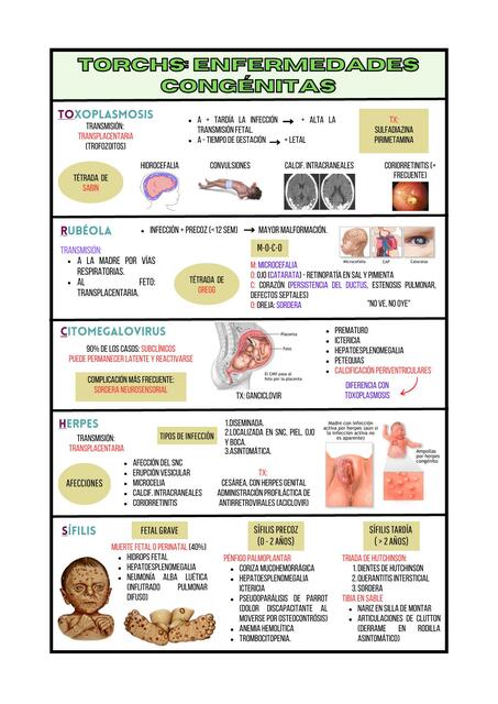TORCHS: Enfermedades Congénitas