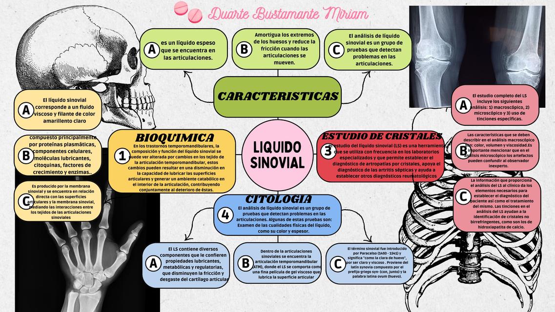 Liquido Sinovial 