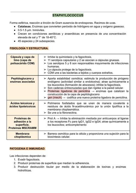 Staphylococcus 