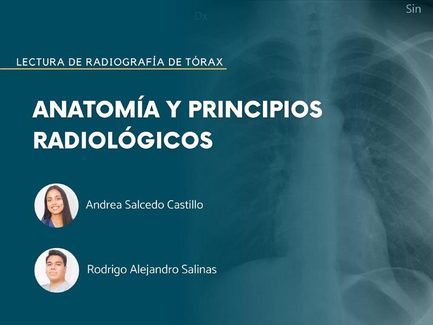 Anatomía y principios radiológicos