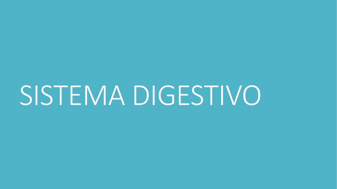 Sistema digestivo