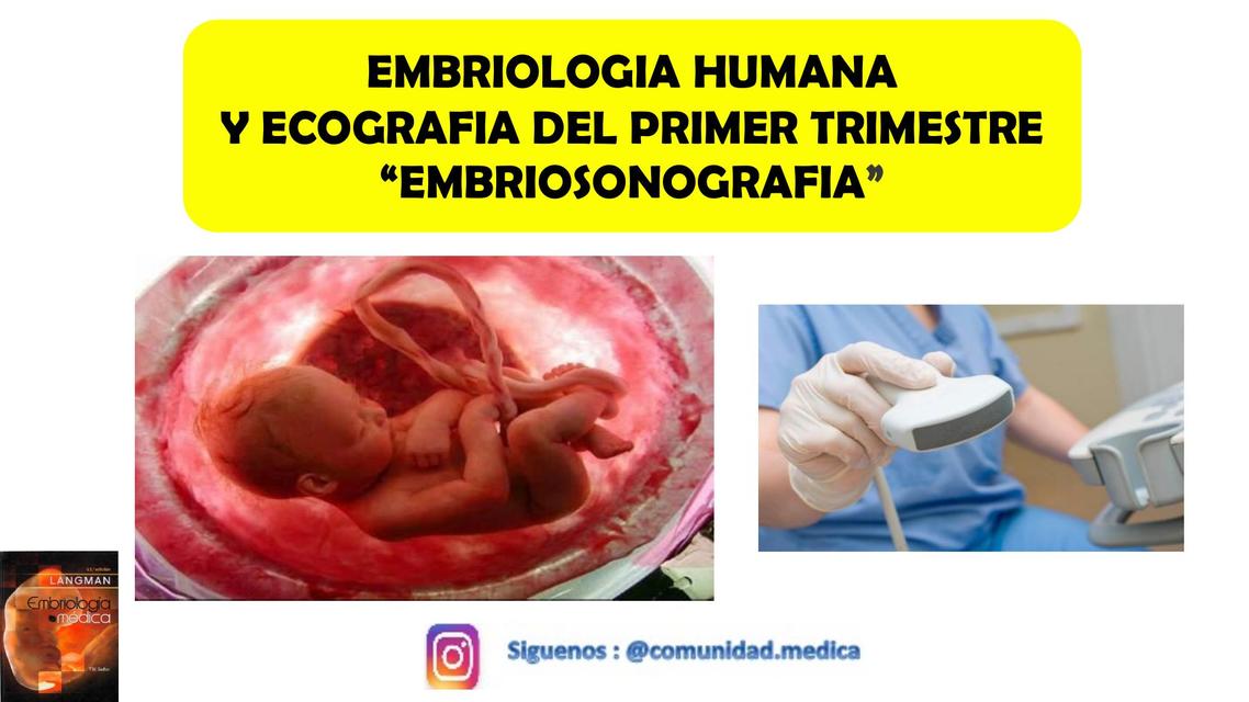 EMBRIOLOGIA HUMANA Y ECOGRAFIA DEL PRIMER TRIMESTRE “EMBRIOSONOGRAFIA”