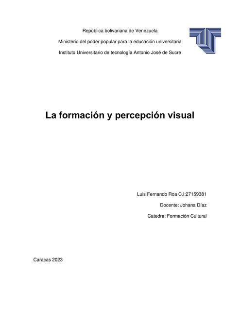 Formación y percepción visual