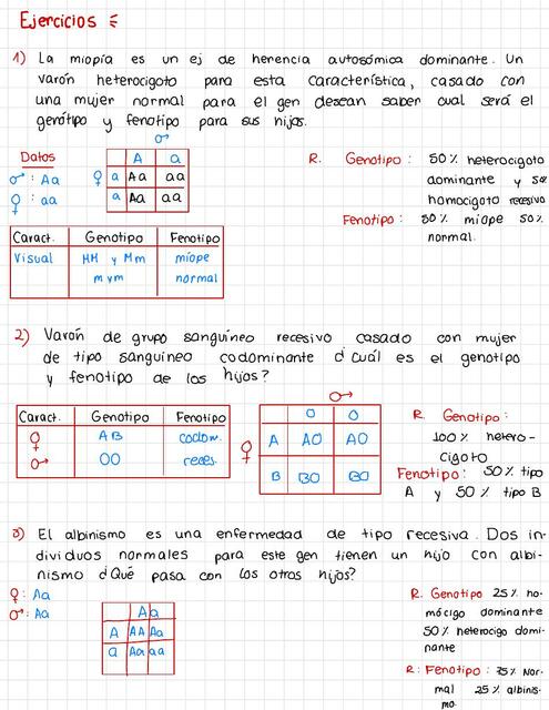 Ejercicios genética