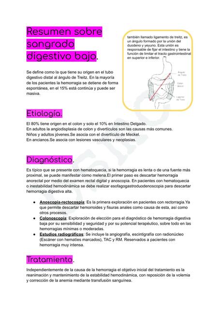 Resumen sobre sangrado digestivo bajo