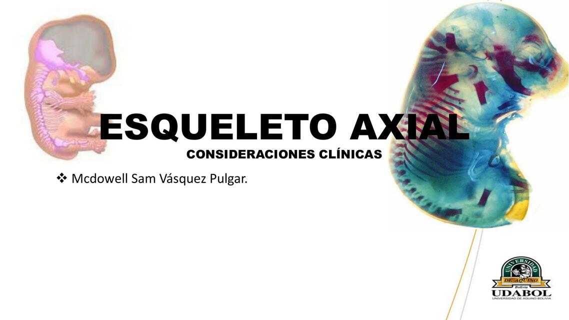 Esqueleto Axial 