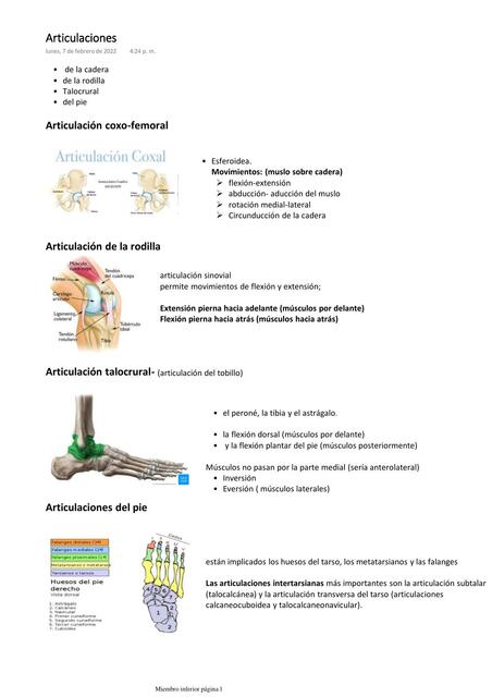Articulaciones 