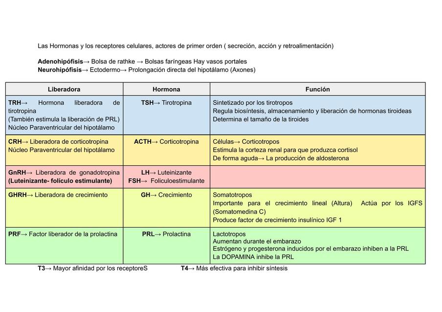 Fisiología Endocrino