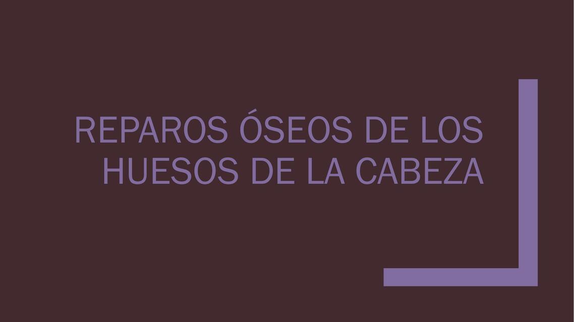 Reparos Óseos de los Huesos de la Cabeza (Cráneo y Cara)