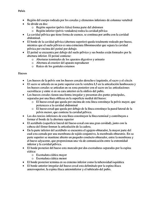 Resumen Pelvis Anatomia de Gray