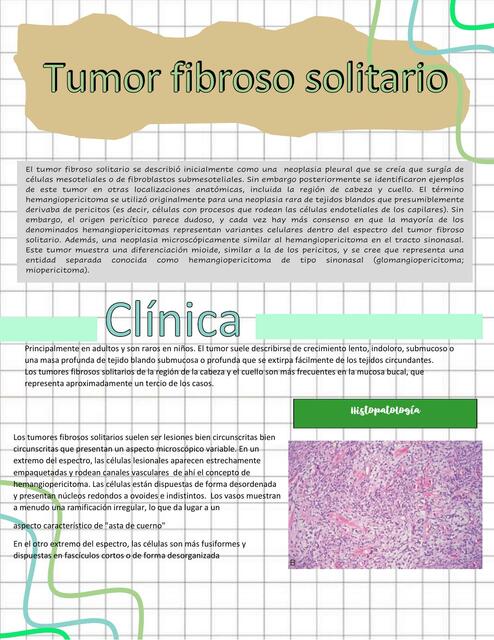 Tumor Fibroso Solitario