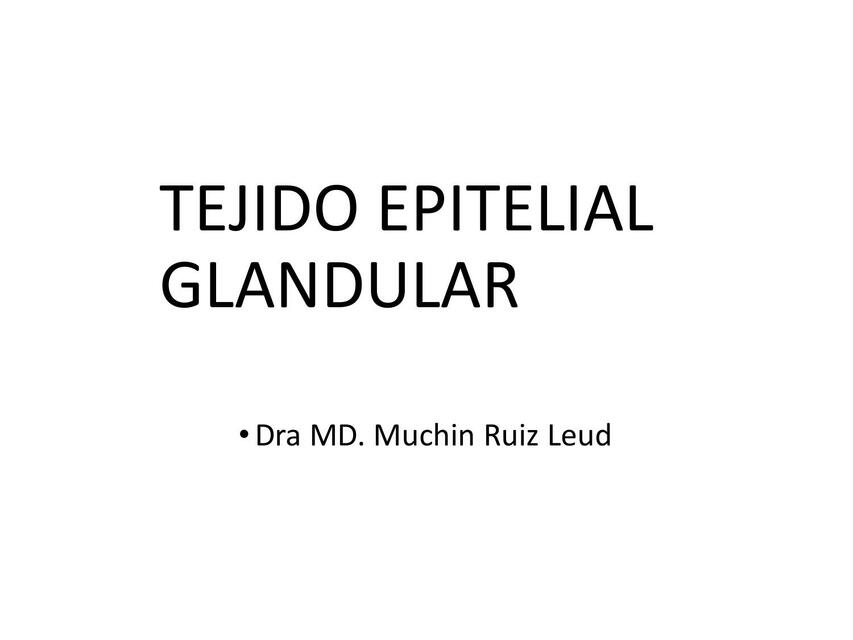 Nuevas  Clase Virtual  Epitelio  Glandular 