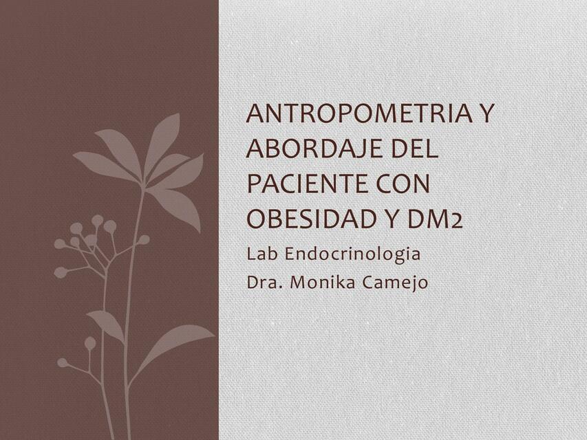 Antropometría y Abordaje del Paciente con Obesidad y DM2 