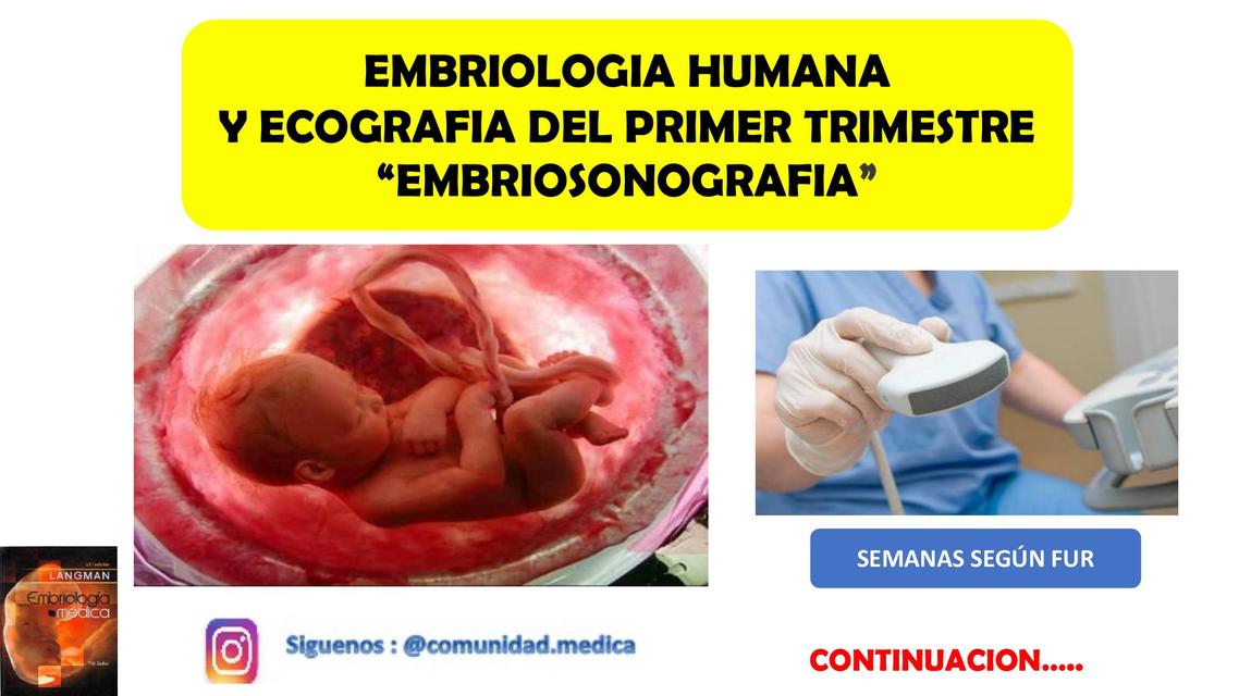 EMBRIOLOGIA HUMANA Y ECOGRAFIA DEL PRIMER TRIMESTRE “EMBRIOSONOGRAFIA”  (2 PARTE)