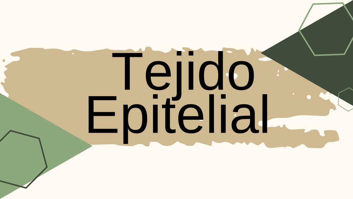 Tejido Epitelial 