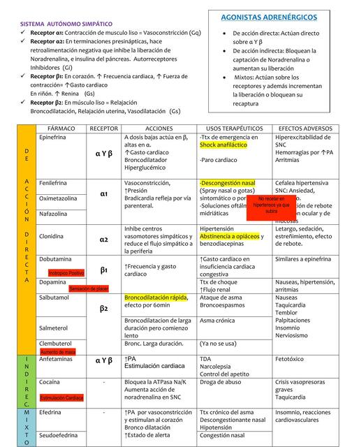 Sistema autónomo simpático 