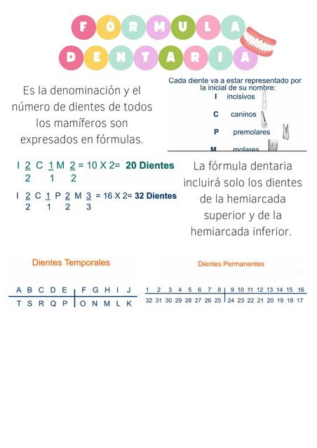 Fórmula dentaria 