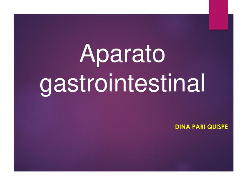 Aparato gastrointestinal