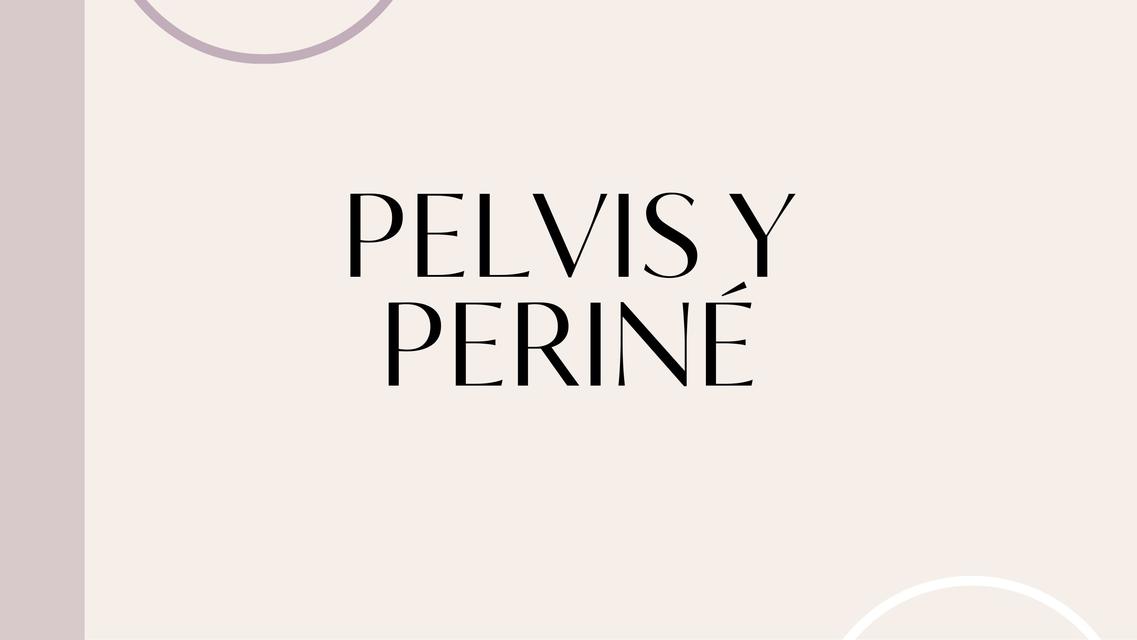 Pelvis y Periné 