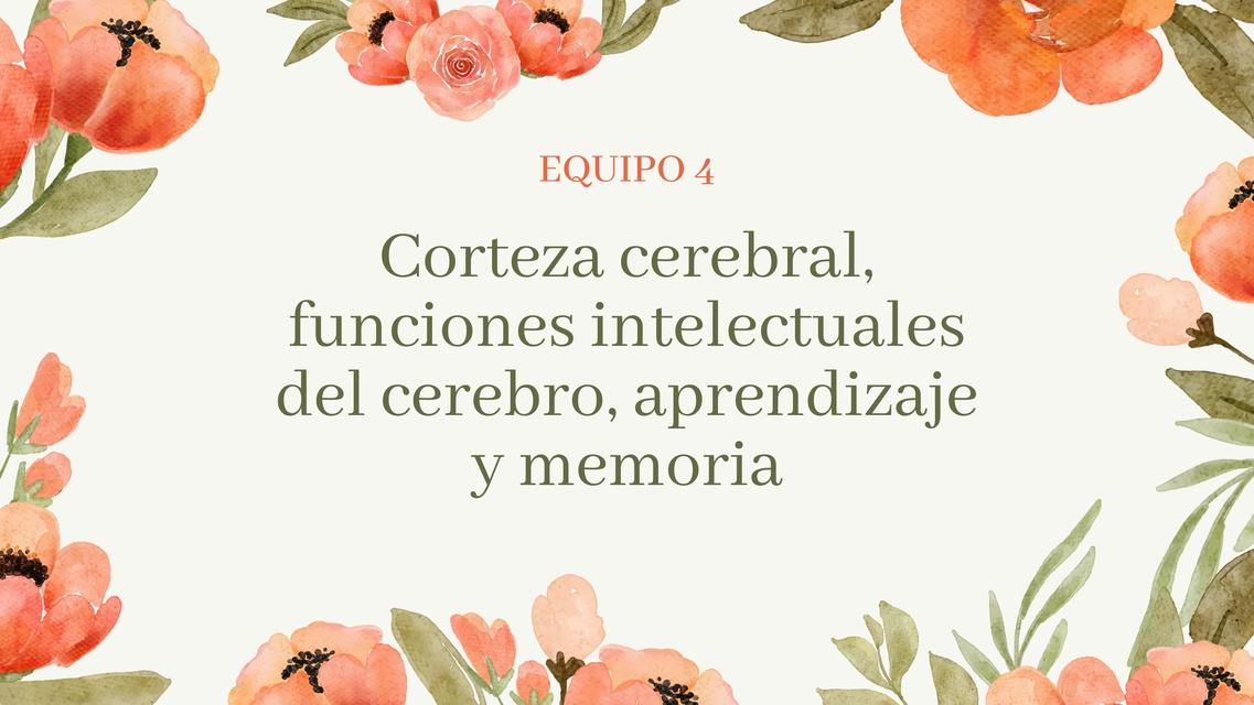 Corteza cerebral, funciones intelectuales del cerebro, aprendizaje y memoria 