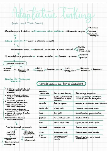 Adaptative Thinking