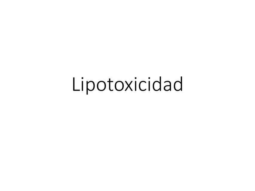 Lipotoxicidad