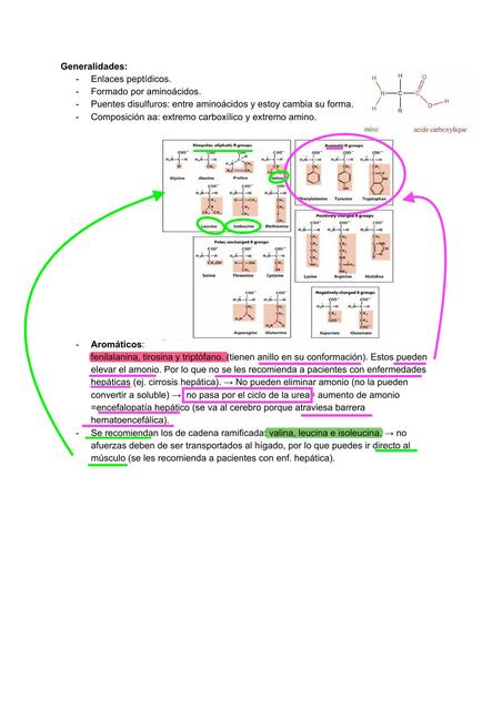 Metabolismo de Proteínas