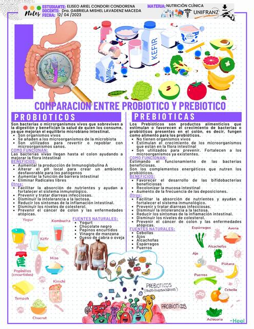 Comparación entre probiótico y prebiótico 