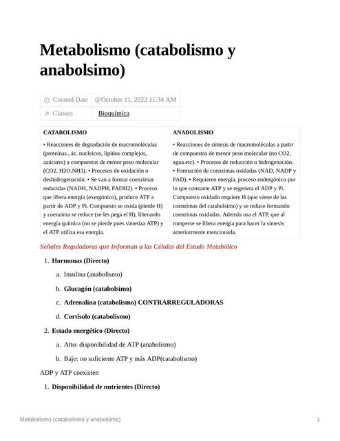 Metabolismo