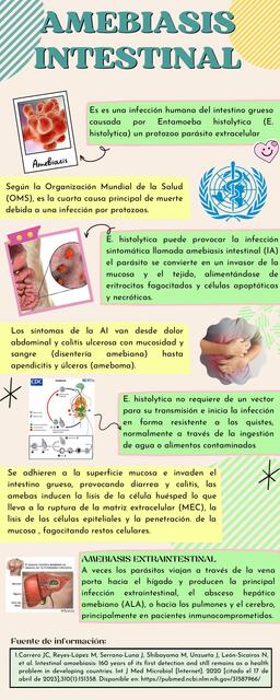 Amebiasis intestinal