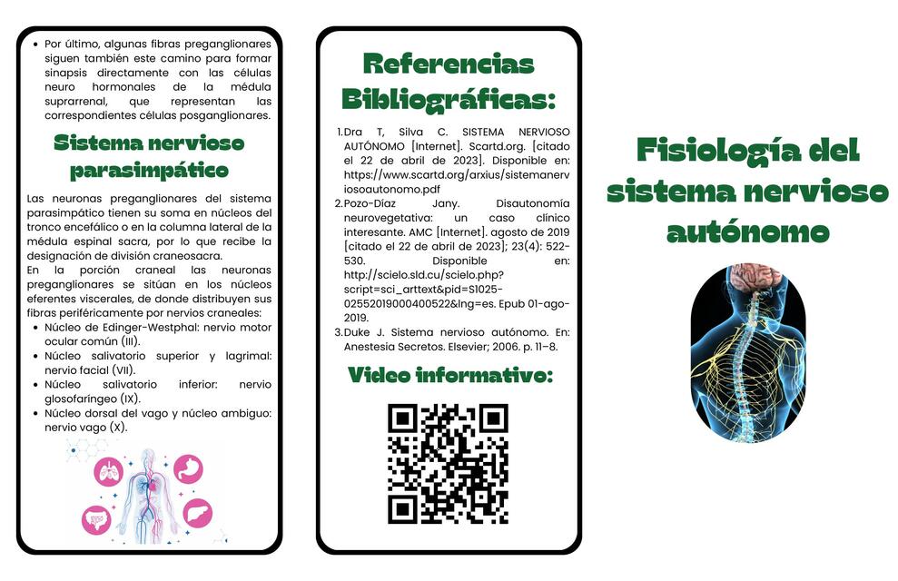 Fisiología del sistema nervioso autónomo