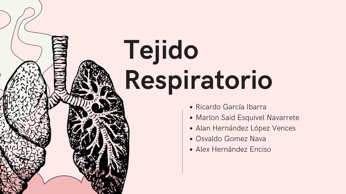 Tejido Respiratorio