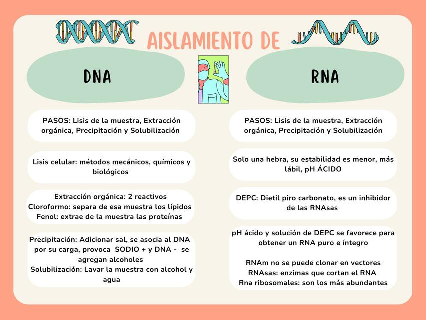 Aislamientos de DNA y RNA