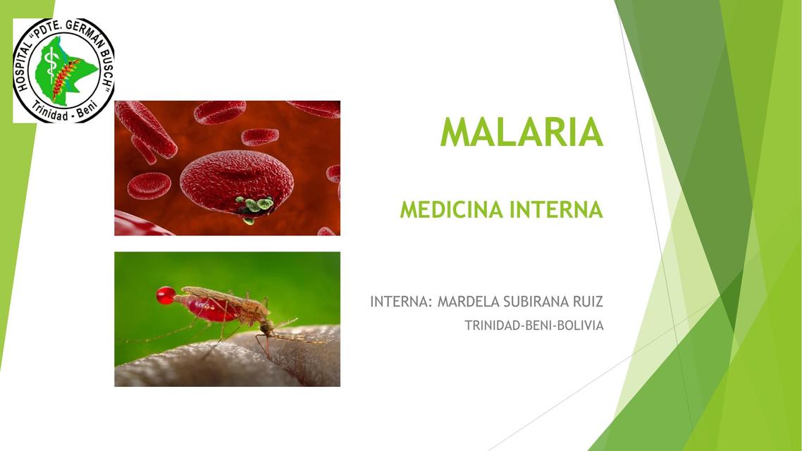 Malaria 